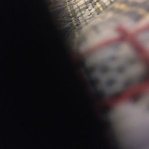 Meet your Posher, Daddy